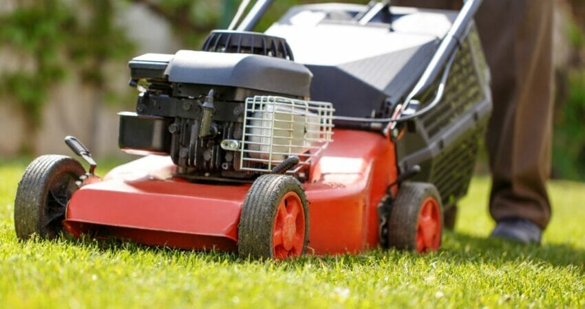 property maintenance