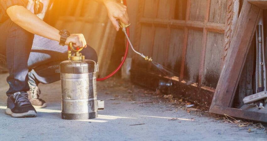 visible cracks on wood are one of the signs of a termite infestation