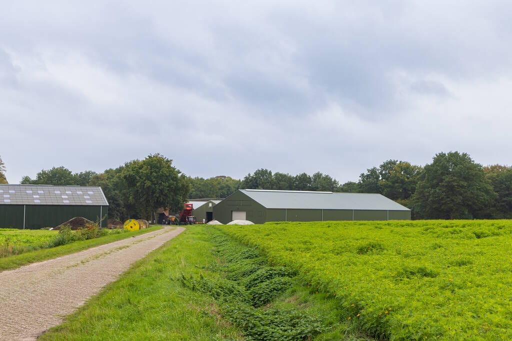 How Long Do Metal Sheds Last? Commercial Building Repairs